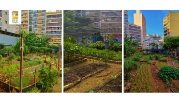 Ocupação 9 de Julho (+) Parque Urbano Augusta | RC-UPPQ-0015-9004